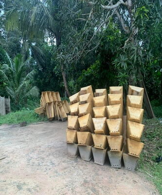 Oberträger-Beuten (Top-Bar-Hives) in der Herstellung. Foto aus Liberia. ©RANDALL