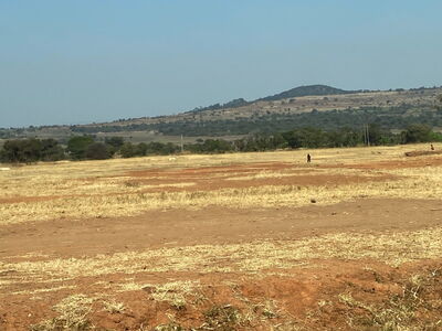 Ackerfläche für Getreideanbau ©AUCH